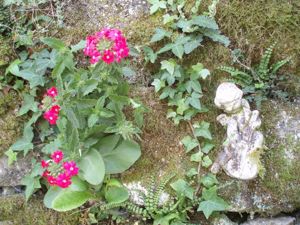 Moulin De Cornevis Bed And Breakfast 普里瓦 外观 照片